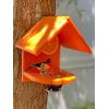 imageDutchCrafters FenceMount Poly Oriole Feeder for Outdoors with Removable Jelly Cup and Orange Rod Mealworm BirdFeeder Orange  Amish Made in USABlack  Bright Orange