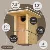 imageDutchCrafters Gillwood Bluebird Cedar Wood Nest Box Outdoor Nesting Box for Birds Wooden Bird House Pole Mount Birdhouse for Outside  Amish Made in USA