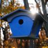 imageDutchCrafters Large Plastic Poly Double Entry Post Mount Bluebird Feeder for Mealworms with Removable Clear Acrylic Sides AllSeason Mealworm Feeder for Wild Songbirds  Made in USA Gray ampamp BlueBlack  Cedar