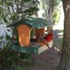 imageDutchCrafters Plastic Poly Covered Roof Hanging Fly Through Bird Feeder Open Side Platform Seed Tray for Outside Outdoor Garden  Amish American Made in USA Tudor Brown ampamp WeatherwoodTurf Green  Cedar