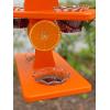 imageDutchCrafters Plastic Poly Double Platform Hanging Oriole Bird Feeder with Fruit Slice Holders ampamp Nectar Cups Jelly Bird Feeders for Outside  Amish Made in USA Triple Black ampamp Bright OrangeBlack  Bright Orange