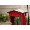 imageDutchCrafters Plastic Poly Large Hanging Suet Bird Feeder with Tail Prop and Removable Roof Holds 2 LB Suet Cake  Amish Made in America Black ampamp RedTurf Green  Bright Cedar