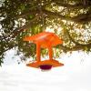 imageDutchCrafters Plastic Poly Single Oriole Bird Feeder Outdoor Hanging Bird Feeder with 1 Acrylic Cup for Jelly or Jam Fruit Nectar or Seed for Orioles Single OrangeOrange