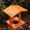 imageDutchCrafters Plastic Poly Single Oriole Bird Feeder Outdoor Hanging Bird Feeder with 1 Acrylic Cup for Jelly or Jam Fruit Nectar or Seed for Orioles Single OrangeOrange