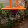 imageDutchCrafters Plastic Poly Single Oriole Bird Feeder Outdoor Hanging Bird Feeder with 1 Acrylic Cup for Jelly or Jam Fruit Nectar or Seed for Orioles Single OrangeOrange