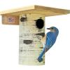 imageDutchCrafters Cedar Wood Pole Mount Gilbertson Bluebird House with Removable Base Weatherproof Wooden Birdhouse Blue Bird Nesting Box for OutdoorsNatural