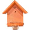 imageDutchCrafters FenceMount Poly Oriole Feeder for Outdoors with Removable Jelly Cup and Orange Rod Mealworm BirdFeeder Orange  Amish Made in USABright Orange  Bright Orange