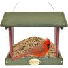 imageDutchCrafters Plastic Hanging Hopper Bird Feeder Small Bird Feeders for Outdoors Suitable for Food Seed Mealworm Small Turf Green ampamp CedarTurf Green  Cherry Wood