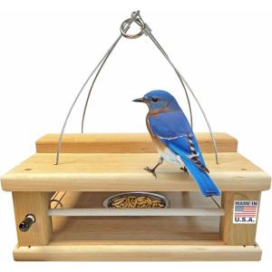 imageDutchCrafters Cedar Wood Covered Hanging Bluebird Feeder for Mealworms with Food Cup Enclosed Wooden Dried Mealworm Feeder for Bluebirds for Outdoors