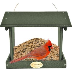 imageDutchCrafters Plastic Hanging Hopper Bird Feeder Small Bird Feeders for Outdoors Suitable for Food Seed Mealworm Small Turf Green ampamp CedarTurf Green