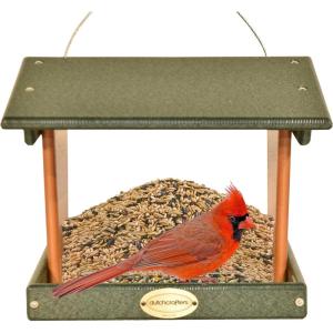 imageDutchCrafters Plastic Hanging Hopper Bird Feeder Small Bird Feeders for Outdoors Suitable for Food Seed Mealworm Small Turf Green ampamp CedarTurf Green  Cedar