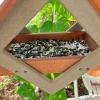 imageDutchCrafters Plastic Poly Modern Diamond Shape Outdoor Hanging Bird Feeder with Mesh Seed Tray Wild Bird Feeders for Outside Garden Balcony Yard  Amish Made in USACedar  Weatherwood