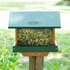 image:imagePoly Hanging Hopper Bird Feeder Large Bird Feeder for Outside Outdoors  Amish American Made Hanging Black amp RedTurf Green  Cedar