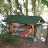 image:imageDutchCrafters Large Plastic Poly Hopper Bird Feeder with Two Suet Cages Bird Feeders for Outdoors for Food or Seed Gray amp Bright Red  Post MountHanging  Turf Green  Cedar