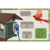 image:imageDutchCrafters Large Plastic Poly Hopper Bird Feeder with Two Suet Cages Bird Feeders for Outdoors for Food or Seed Gray amp Bright Red  Post MountPost Mount  Gray  Bright Red