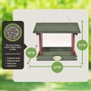 image:imageDutchCrafters Plastic Hanging Hopper Bird Feeder Small Bird Feeders for Outdoors Suitable for Bird Food Bird Seed Mealworm Small Turf Green amp WeatherwoodTurf Green  Cherry Wood