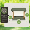 image:imageDutchCrafters Plastic Hanging Hopper Bird Feeder Small Bird Feeders for Outdoors Suitable for Bird Food Bird Seed Mealworm Small Turf Green amp WeatherwoodTurf Green  Cedar